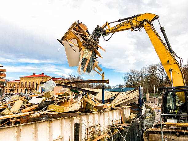 Yard Cleanup Services in Los Angeles, CA